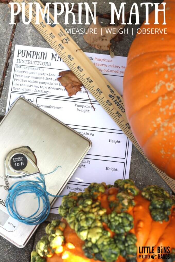Measuring Pumpkins Math Activity Fall STEM 