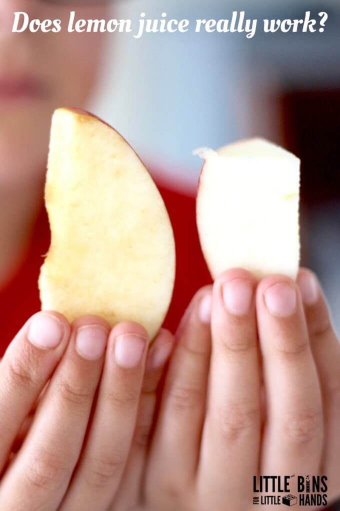 Apple science lemon juice experiment why do apples turn brown?