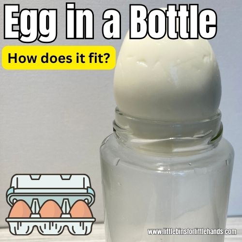 Egg In A Bottle