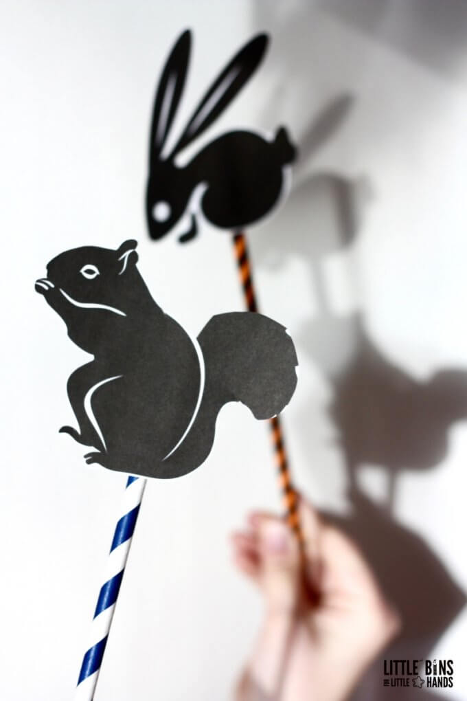 Playful Shadow Science Physics Activity