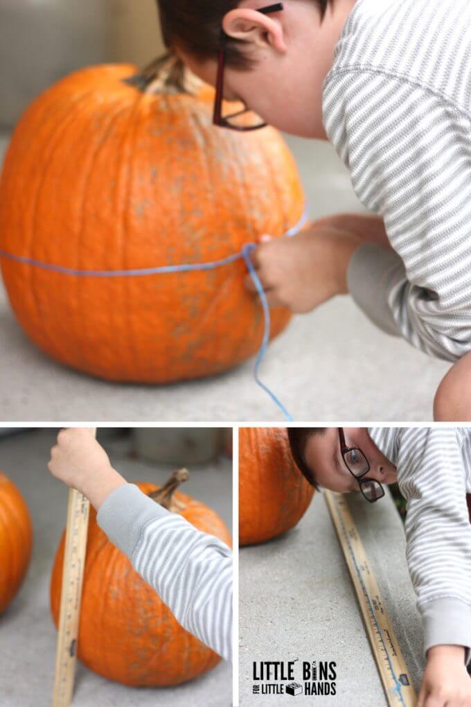 Measuring Pumpkins with String for Circumference Math Activity