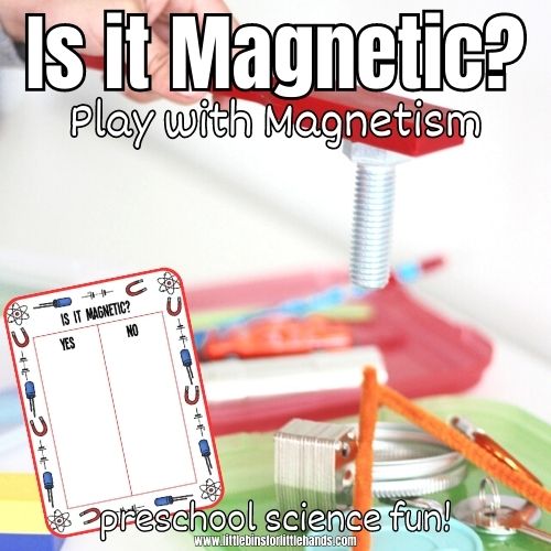 Preschool Magnet Activity