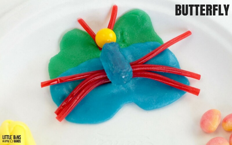 Edible Butterfly Life Cycle Science Activity Stage 4 adult