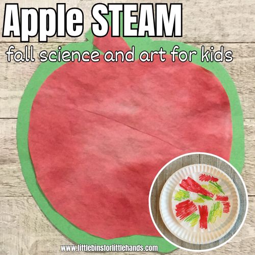 Coffee Filter Apple Art