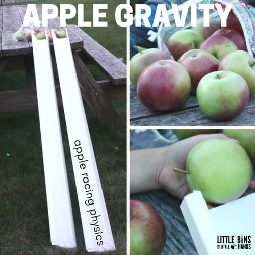Apple Gravity Experiment For Preschoolers