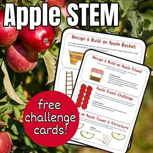 Apple STEM Challenge Cards