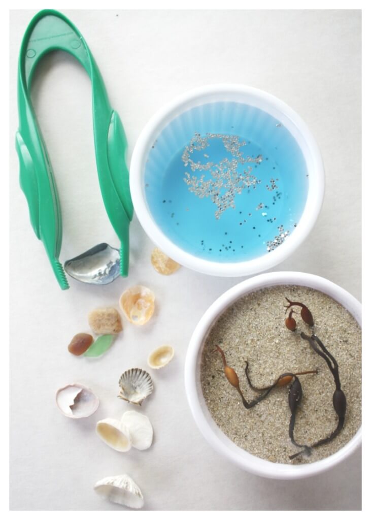 Beach Discovery Bottle Sensory Science