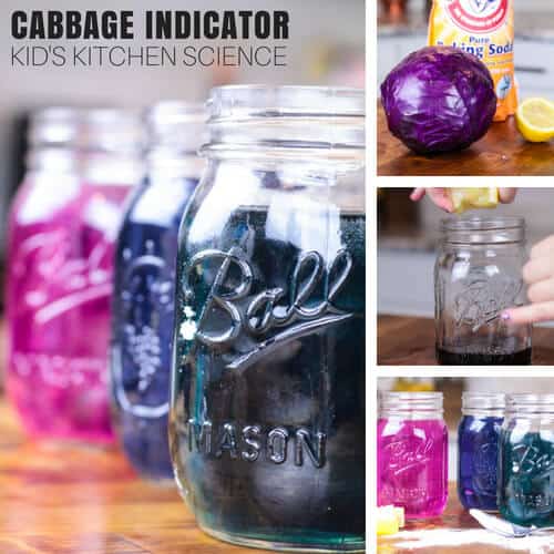 Cabbage juice science experiment and making pH indicator from red cabbage