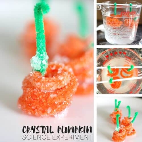 Crystal Pumpkins Experiment