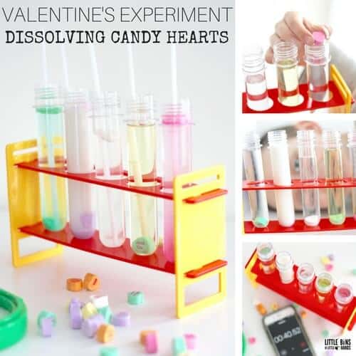 Dissolving Candy Heart Experiment