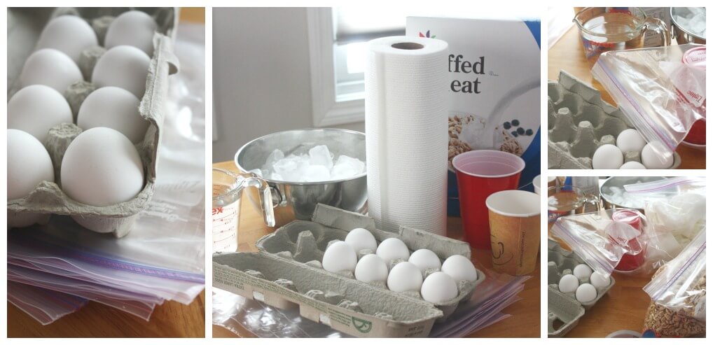 Egg Drop Challenge Set Up Egg Zip Locks Bags Cereal Ice Water Paper Cups