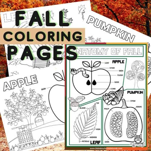 Printable Fall Coloring Pages