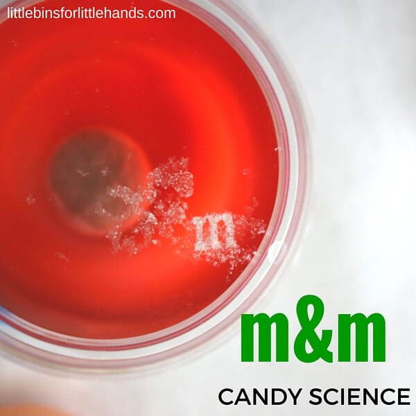 Floating M&M Science Project