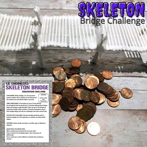 Bone Bridge STEM Challenge