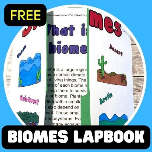 Printable Biomes Lapbook Activity