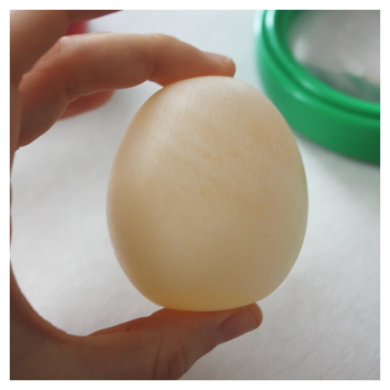 Naked Egg How To make Rubber Egg