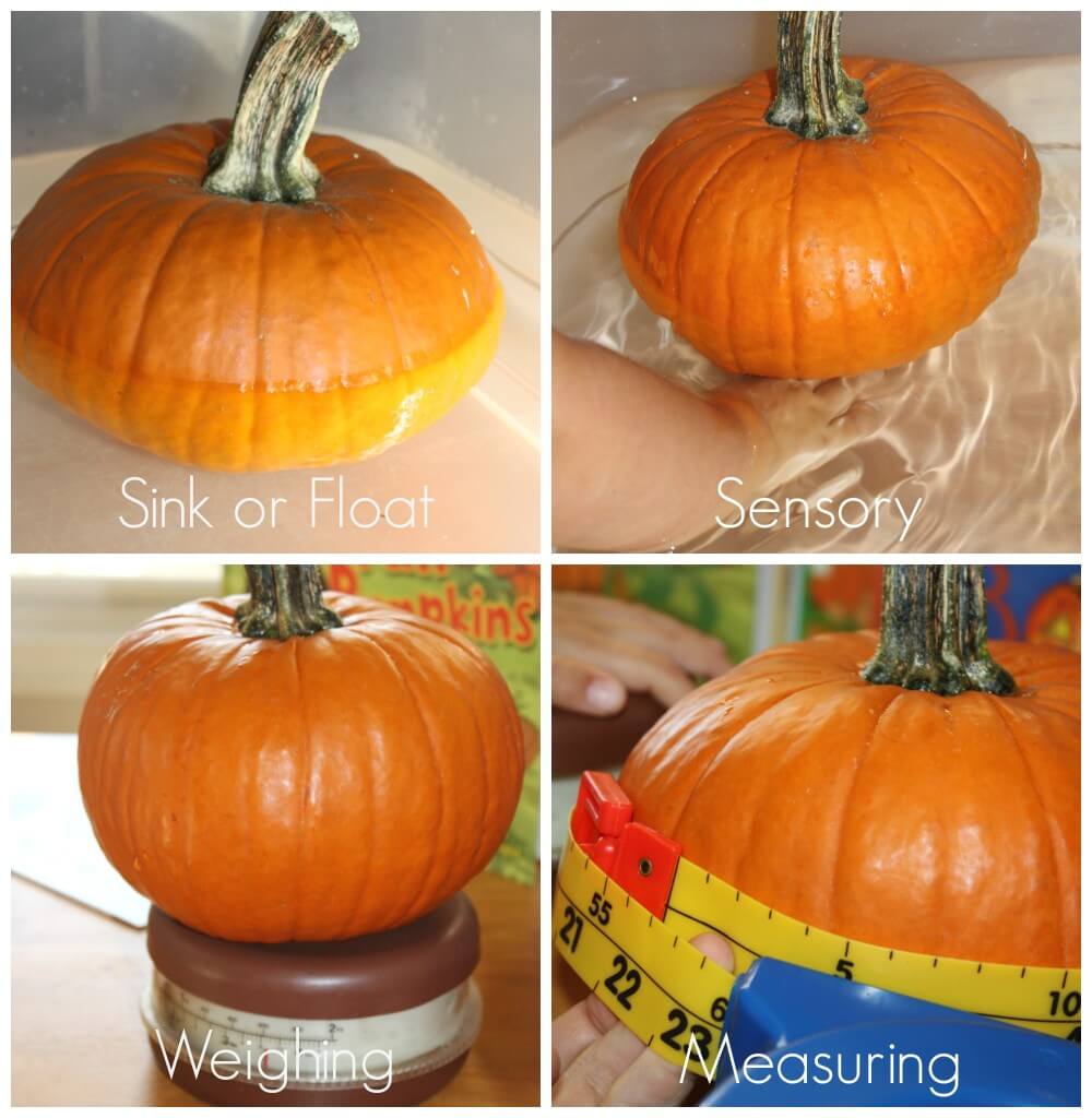 Pumpkin Activities For Preschool sink float measure sensory weighing