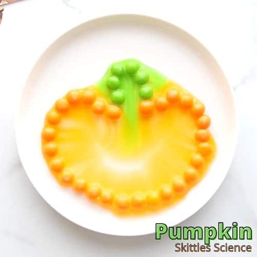 Pumpkin Skittles Experiment For Fall