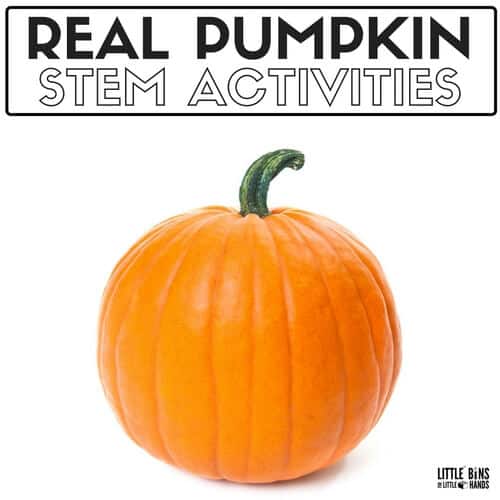 Pumpkin STEM Activities For Fall