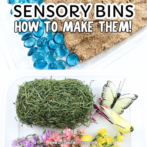 How To Make Sensory Bins