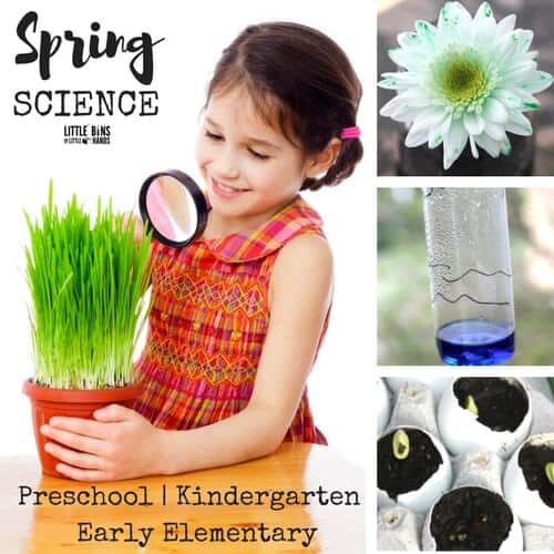 plant activities for spring science