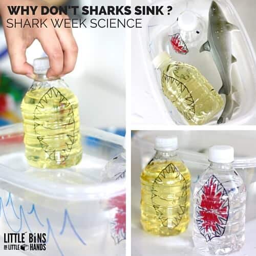 shark week activity - buoyancy experiment